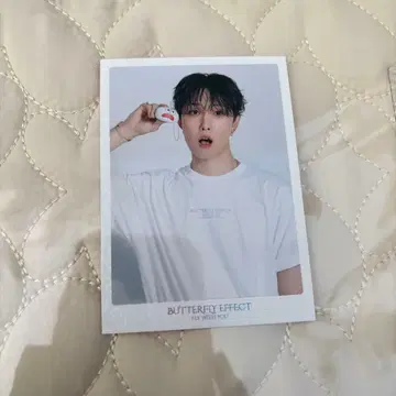 환타 호리 나츠키 포토 카드 시크릿