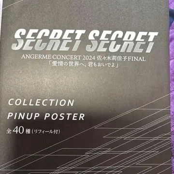 SECRET SECRET 안쥬르므 라이브 투어 2024 핀업 포스터