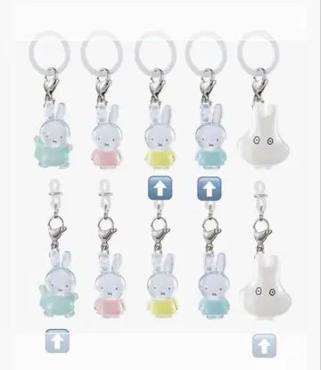 미피 메지루시 액세서리 파스텔 컬러 4개 세트