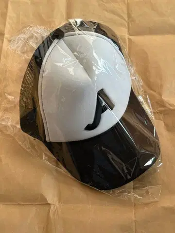 스에자와 세이야 착용 캡