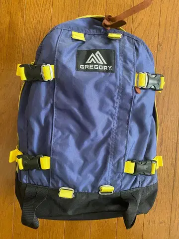GREGORY 백팩 데이백 그레고리