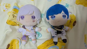 이레이스 누이 세트