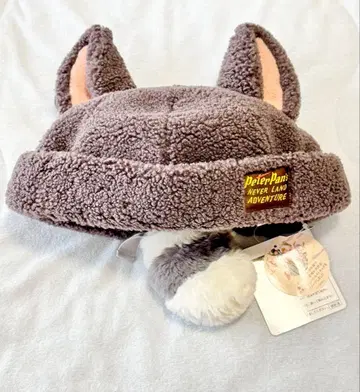 판타지 스프링스 로스트 키즈 아라이 팬 캡 디즈니씨