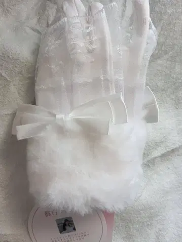 진화이트 앨리스 시마무라 여성용 그로브 장갑 화이트