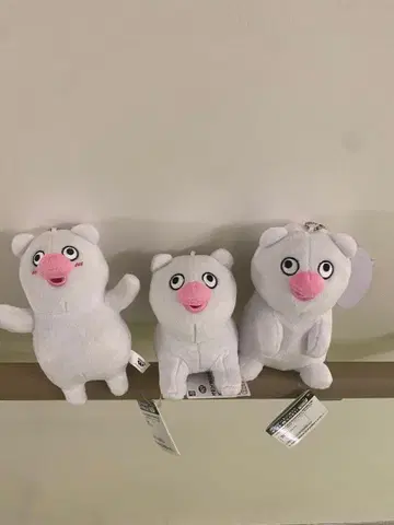 멸종 위기 동물 해치 파모스 가방에 달 수 있는 봉제 인형 전 3종 세트