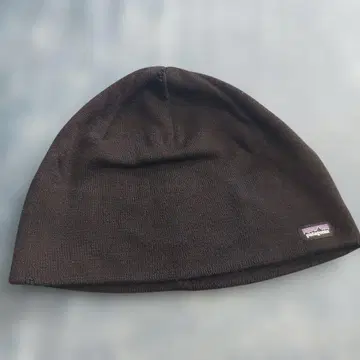 파타고니아 비니 햇
