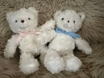 파밀리아 봉제 인형 2체 세트 파밀리짱