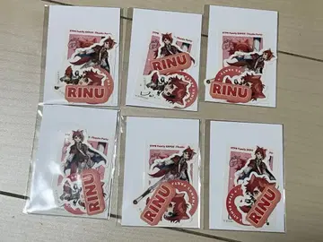 STPR Family Expo! 복권 스티커 세트 리이누군 묶음 판매