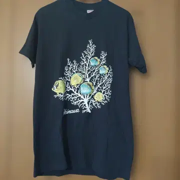 미국제 프룻 오브 더 룸 T셔츠 수베니어 티셔츠