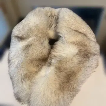 SACA FOX 그레이 퍼스트올