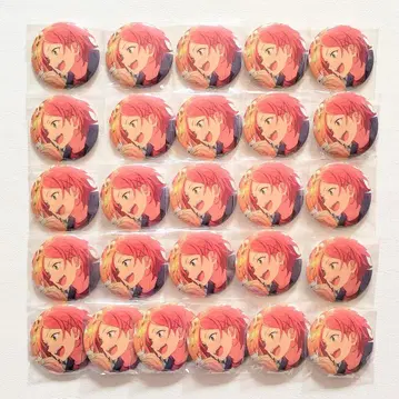 [ 익명 배송 ] 앙스타 이베코레캔 히나타 트윈피크스 26점