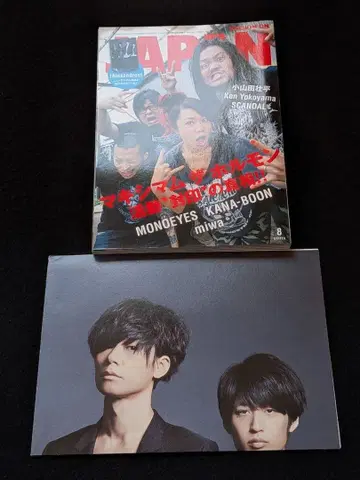 맥시멈 더 호르몬 서던 올스타즈 Mrs. GREEN APPLE