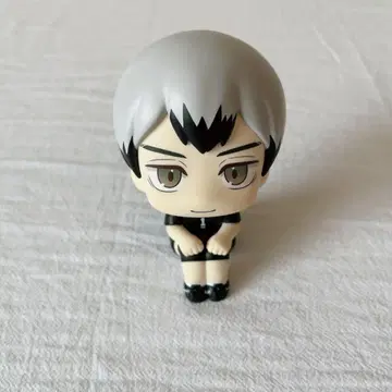 하이큐!! 키타 신스케 룩업