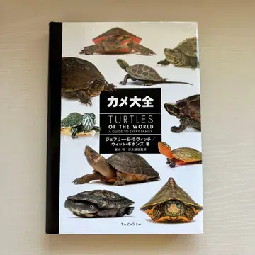 카메 대전 - Turtles of the World