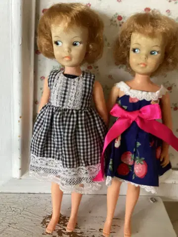 일본의 페퍼 j 2인조