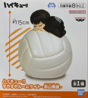 하이큐!! 카게야마 토비오 룸 라이트