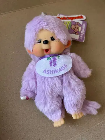 몬치치 고토치 몬치치 아시카가 플라워 파크 몬치치 도치기