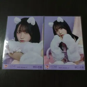 노구치 이오리 고양이 귀 의상 브로마이드 세미 컴프