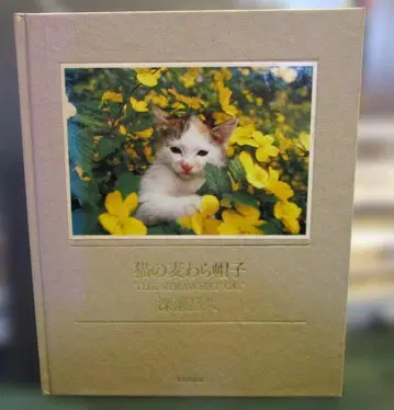 고양이의 밀짚모자 THE STRAW CAT 후카세 마사히사