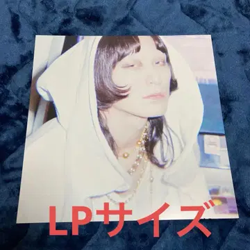 드레스코즈 식일산화 아날로그 특전 LP 사이즈 비주얼 보드