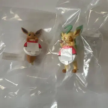 포켓몬 제일복권 F상 길거리 산책 챠라링 프렌즈