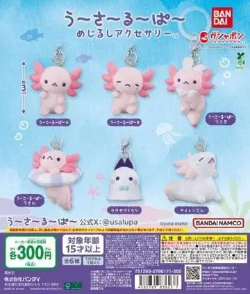 전 6종 컴프 우사루파 메지루시 액세서리