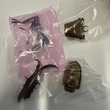 [ 미사용 ] 생물대도감 사슴벌레 04 메탈리페르 호소아카쿠와가타