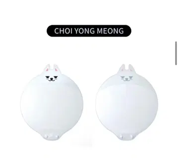 IMAGE PICKET COVER CHOI YONG MEONG 부채 커버