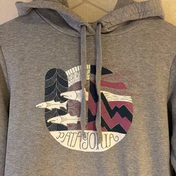 Patagonia 그레이 후드 부착 후드티