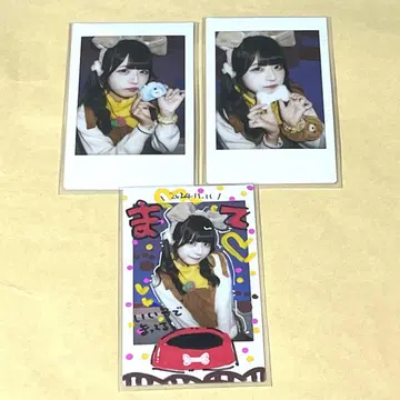 앳홈 카페 강아지 탐험대 솔로 폴라로이드 3종 세트 린린