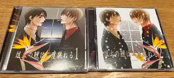 CD 2장 세트 [  ] 유우사 코지 나카무라 유이치