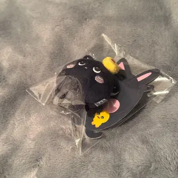 미니 인형 키링 원빈 RIIZE