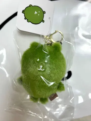 나가노 컬러 나가노의 곰 마스코트 말차