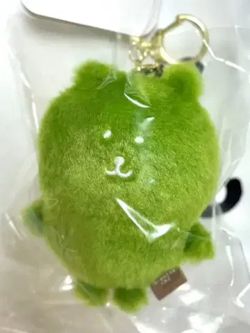 나가노 나가노 캐릭터 컬러 나가노의 곰 마스코트 말차