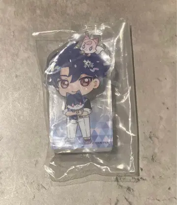 비밀의 아이프리 아크릴 블록 스바루