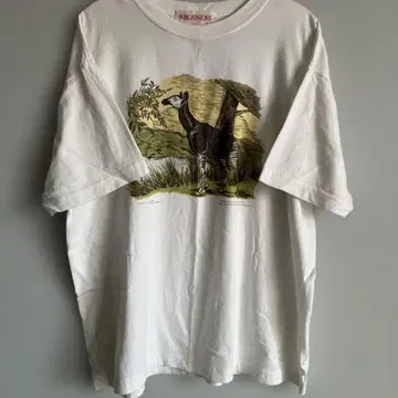 NICENESS 오카피 셔츠 XL