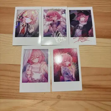 nqrse 폴라로이드풍 카드 5장 세트