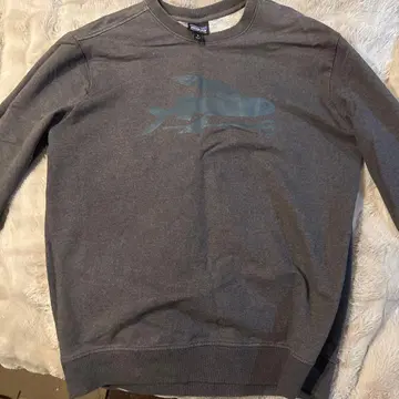 Patagonia 그레이 트레이닝복 M