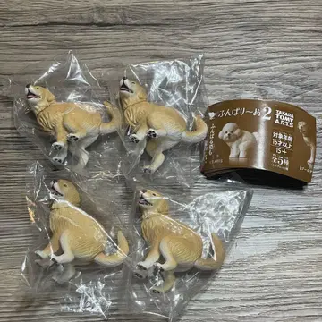 펀바리누 2 골든 리트리버 4마리