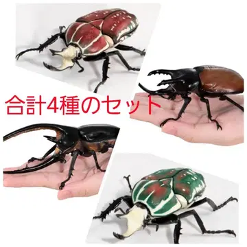 넵튠장수풍뎅이 삼봉뿔풍뎅이 폴리페무스(2종) 생물대도감