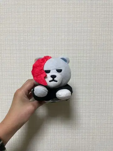 BIGBANG G-DRAGON KRUN 누워있는 패스 케이스