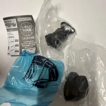 생물대도감 장수풍뎅이05 오오엔마한묘