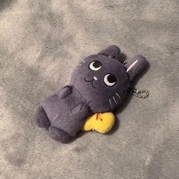 RIIZE 원빈 10cm 냥덕