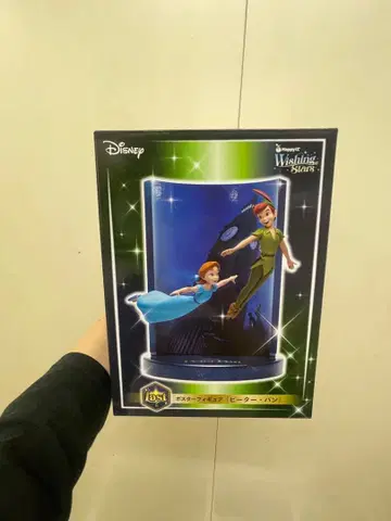 위싱스타즈 피터팬과 웬디와 덤 플레이트