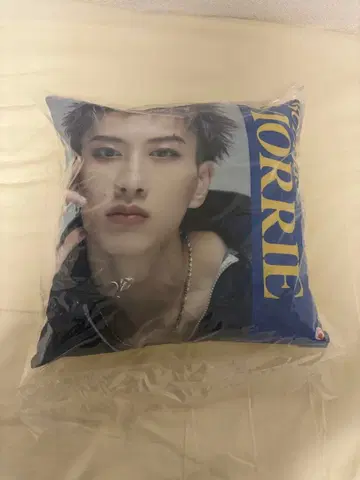 BUDDiiS MORRIE 쿠션