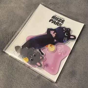 RIIZE 원빈 아크릴 스탠드 트레이딩 카드 포함