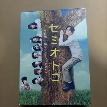 세미오토코 DVD-BOX