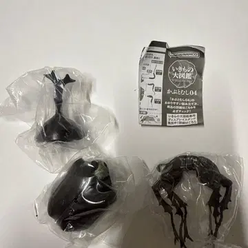 야마토장수풍뎅이(개정판) 생물대도감 장수풍뎅이 사슴벌레