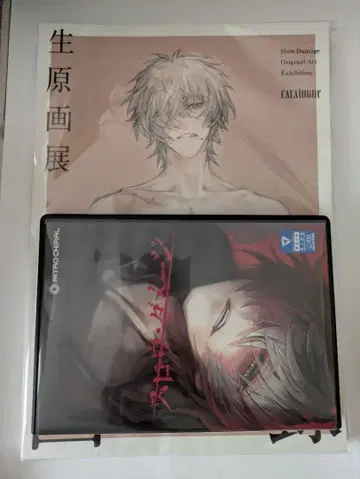 슬로우 데미지 게임 & 도록