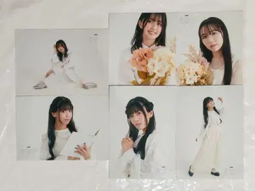 낭독극 흑백의 하늘에 무지개를 걸자 브로마이드 6장 묶음 판매